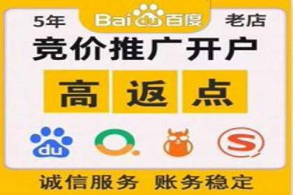 百度竞价推广公司成功案例：如何快速提升品牌曝光度